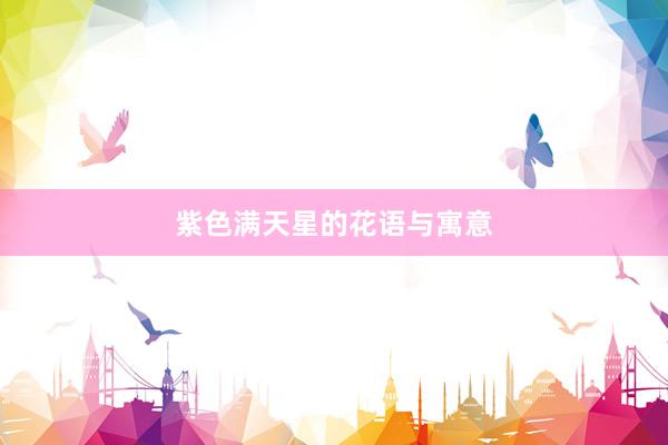 紫色满天星的花语与寓意