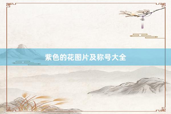 紫色的花图片及称号大全