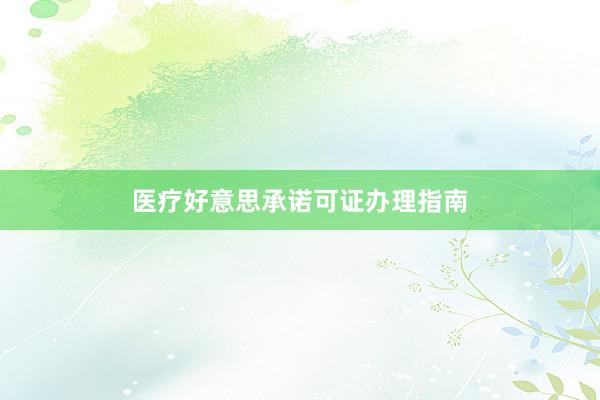 医疗好意思承诺可证办理指南