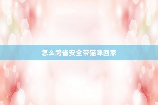 怎么跨省安全带猫咪回家