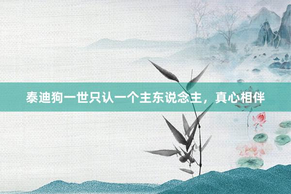 泰迪狗一世只认一个主东说念主,真心相伴